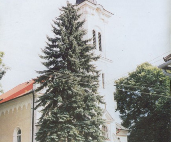 Cirkev/Egyház